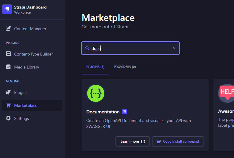 strapi Documentation