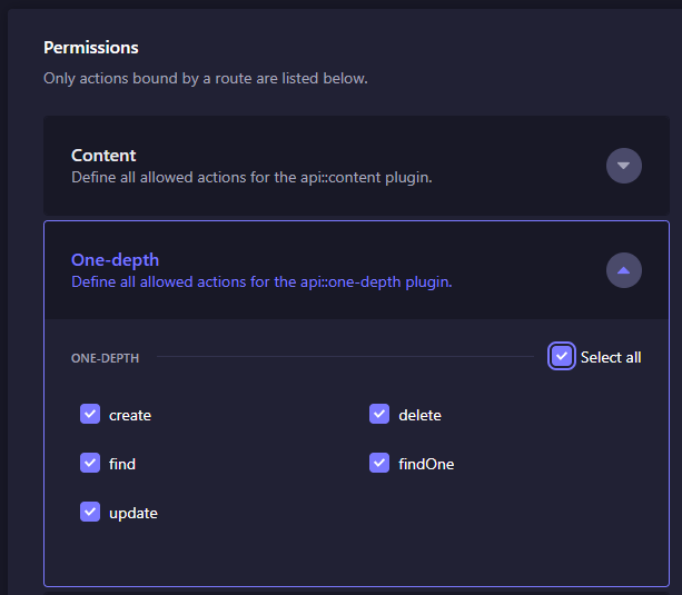 strapi setting roles